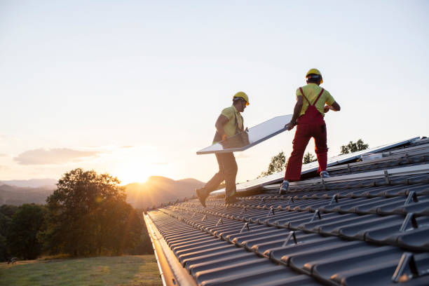 Best Roof Moss and Algae Removal  in Lawndale, CA