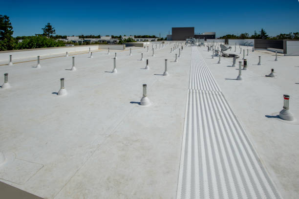 Best Roof Moss and Algae Removal  in Lawndale, CA